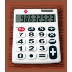 Dino Junior Big Number Calculator