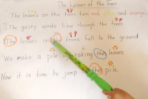 The Leaves of the Trees Song